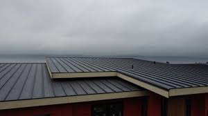 Steel Roofing